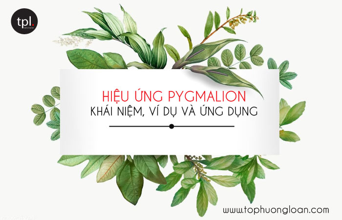 Hiệu ứng Pygmalion là gì? Khái niệm, ví dụ và ứng dụng