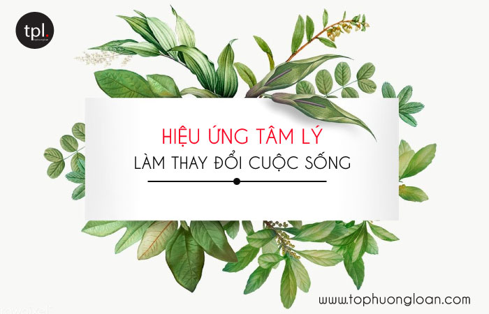 Hiệu ứng tâm lý hay trong cuộc sống