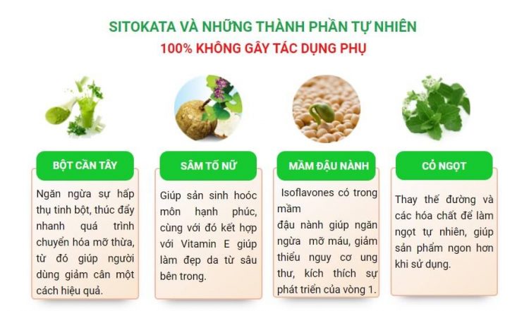 Công dụng của bột cần tây Sitokata