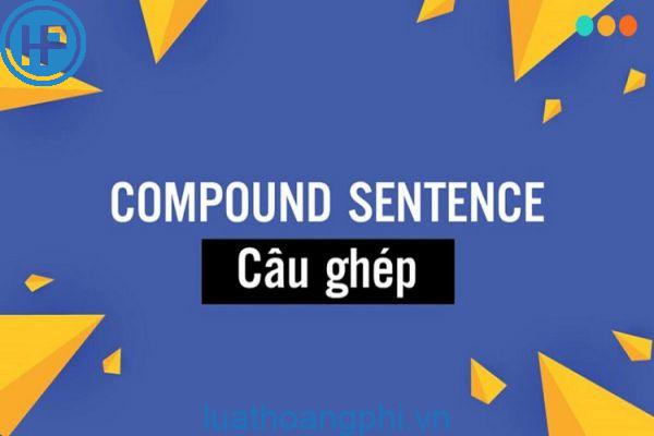 Câu ghép chính phụ là gì? Ví dụ câu ghép chính phụ | ToPhuongLoan.Com