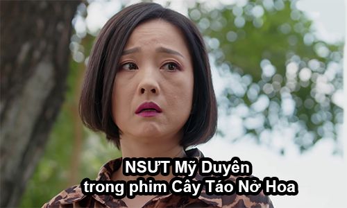 tieu su nsut my duyen cay tao no hoa